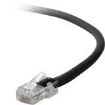 Picture of 1FT CAT6 Black Patch Cord Taa